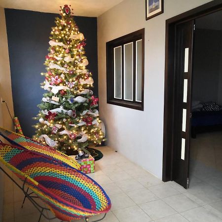 Bed and Breakfast Montealban House Oaxaca Exterior foto